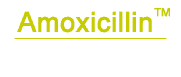  Amoxicillin (Generic)